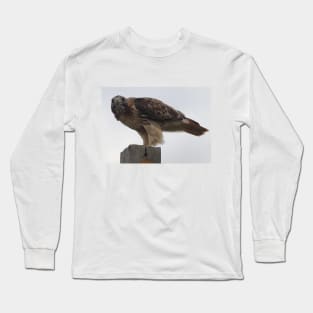 Red-Tailed Hawk Long Sleeve T-Shirt